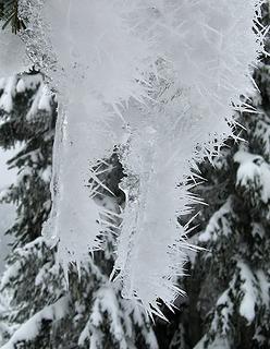 Spiky frosty icicles 1