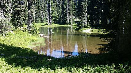 many ponds, and some mosquitoes, in the middle of the hike