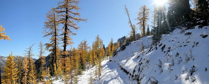Hiking south from Brown Bear trailhead