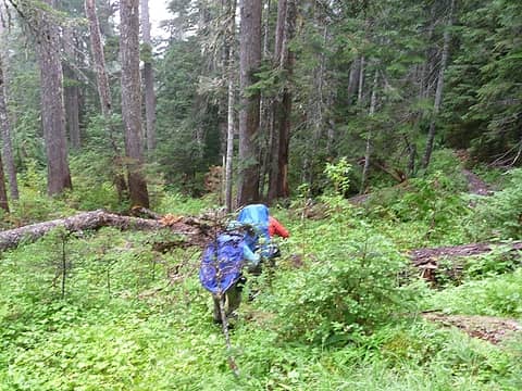 From this point we carefully descended a couple thousand feet through steep, wet, slippery forest. The travel was slower than we had anticipated. (photo: Jeff)