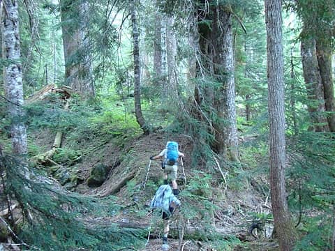 As we encountered obstacles along the creek, we ascended through moderate old growth terrain to work our way around them.