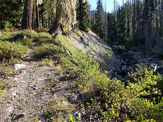 N Scatter Creek Trail