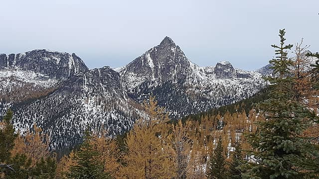 More views of Cathedral with the larches