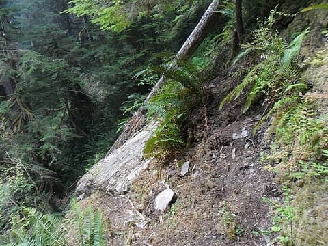 the rock slab is really that steep, the bootpath is just above it.