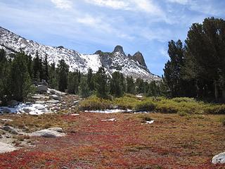 Sierra fall color