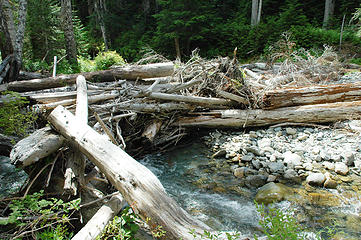 Dosewallips River crossing above Diamond Meadow camp