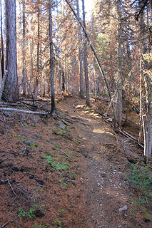Lillian Ridge Trail