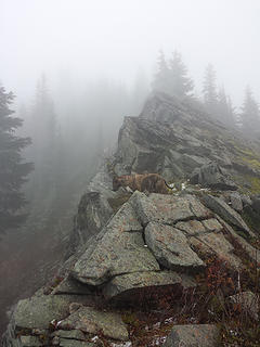 One of several cliffy outcroppings along the West Ridge of Sawyer Mountain