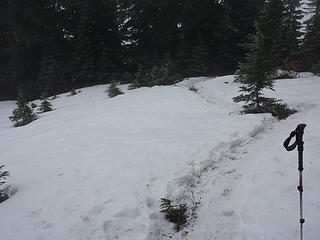 One of several snow fields above Trail 1058