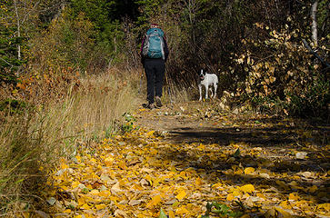Fall hikers