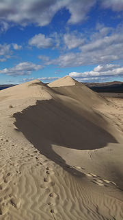 The Dunes at White Bluffs