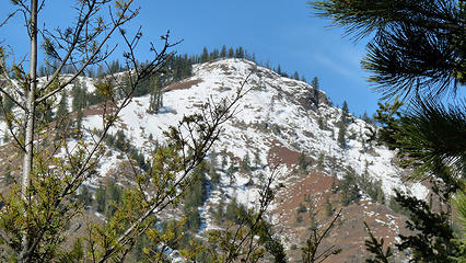 Not Iron Mtn. - but a bump on the westerly ridge from Iron Mtn. to Miller