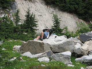 DHM relaxes on a rock