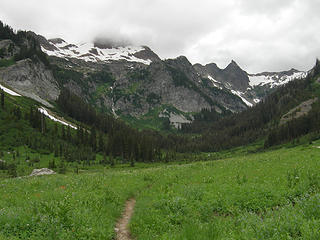 Trail in Spider Meadow