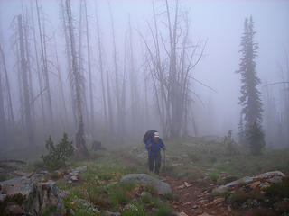 Mist along the Boulder Creek Trail