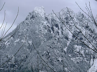 View Across from CCC 
Sitka Spruce  to CCC WA 2/1/14