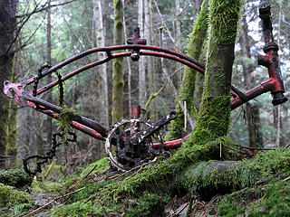 Name that bike. 
Sitka Spruce  to CCC WA 2/1/14