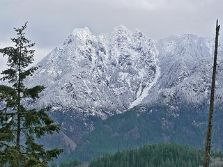 Russian Butte. 
Sitka Spruce  to CCC WA 2/1/14