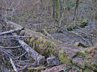Not the prettiest bridge, but it worked. 
Sitka Spruce  to CCC WA 2/1/14
