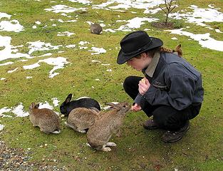 Feeding the bunnies