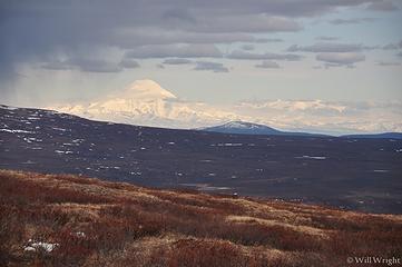 Mt. Sanford from the Denali Highway