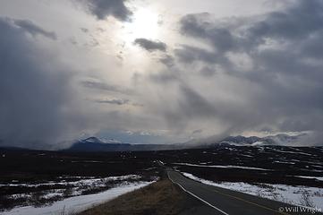 Along the Denali Highway in spring