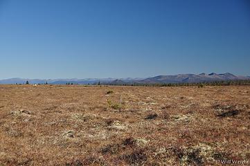 Tundra near Granite Tors