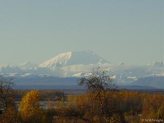 Mt. Foraker from Talkeetna
