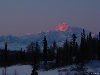Denali from Parks Highway