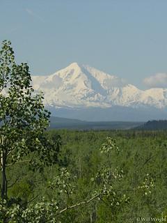 Mt. Moffit from Delta (3)
