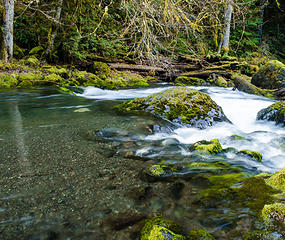 Big Quilcene River 4