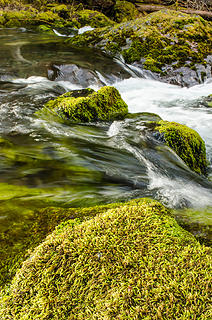 Big Quilcene River 2