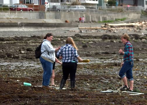 Students on assignment collecting and inventorying tidepool life. This activity will prepare these kids for pretty much nothing they'll ever do in life.