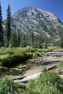 Meadow with Iron Creek