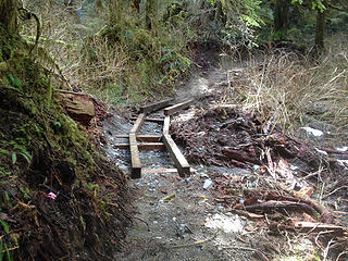 new trail under construction.
