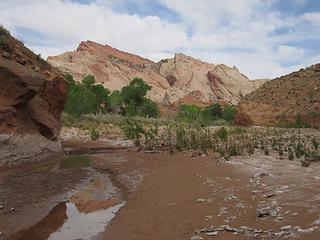 Capitol Reef National Park, Grand Gulch of Halls Creek