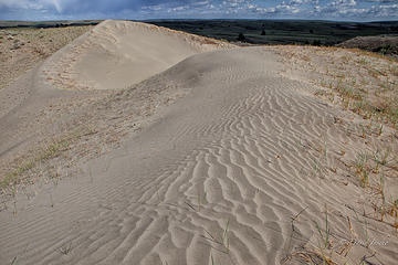 Dune & prairie