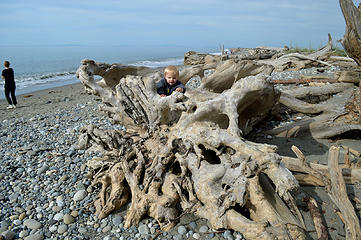 Caleb on the driftwood