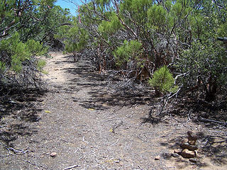Start of trail that goes left off of the rd.
