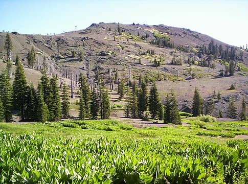 Snow Mountain East and Mules-Ear Meadow