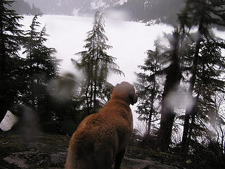 Sadie thinking about Lake Dorothy on a sunny day - raindrops aside