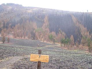 Trail with burn behind