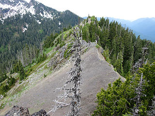 Cruddy ridge rock
