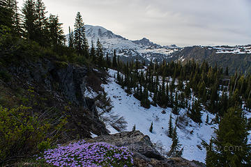 Spent some time in Rainier National Park last night.  A7R and Zeiss 18mm