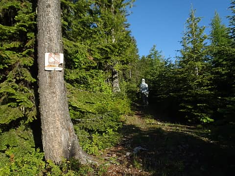 Indian Mountain Summit Trail