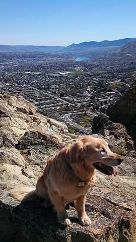 Gus on Castlerock above his new home in Wenatchee