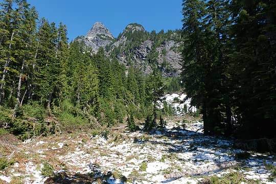 Avalanche debris reaching from the lower Dutch Miller Gap meadow to the Williams Lake trail junction