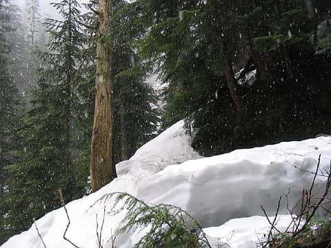 Snowing on Lake 22 trail May 12, 2006.