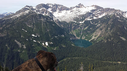 Maverick overlooking Frisco Mountain and Rainy Lake