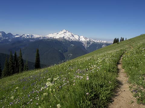 Day 3: Sunshine, clear blue sky, Glacier Peak, Miners Ridge, wildflowers, trail. What more could a hiker want?